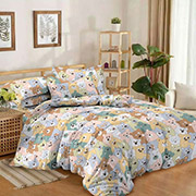 Підліткова постільна білизна 20-237 ранфорс Marcel