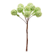 Шарики декоративные 2 см 9 шт в пучке Мимоза Yes! Fun 974163 зеленые