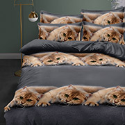 Постільна білизна Мурлики 600903 полікоттон Selena