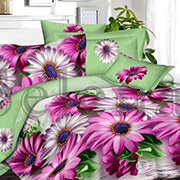 Постільна білизна Флоранс 300111 сатин Selena