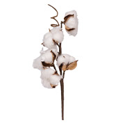 Ветка декоративная 30 см Хлопок Yes! Fun 973939