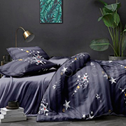 Комплект постільної білизни Перша зірка Selena 600220