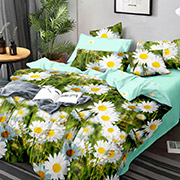 Постільна білизна Ромашкова галявина 300605 сатин Selena