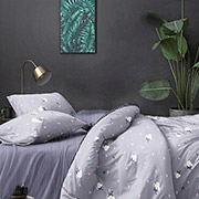 Постельное белье Хлопок 101136 бязь-люкс Selena