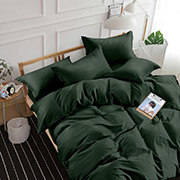 Постільна білизна Stripe Зелений 100711 бязь-люкс Selena