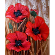 Алмазна мозаїка Kornel GLE7 50х40 см