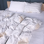 Постільна білизна 22-1426 Tender Branches сатин MirSon