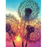 Алмазна мозаїка Kornel GLE75405 50х40 см