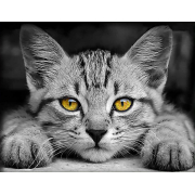 Алмазна мозаїка Kornel GLE74133 50х40 см