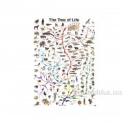 Пазл Дерево Життя 1000 елементів Eurographics 6000-0282 - Фото №3