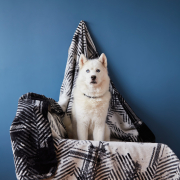 Плед-покрывало Kassandra черный Ideia - Фото №4