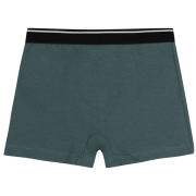 Труси-боксери для хлопчика ТР42 супрем Бембі R00-зелений - Фото №3