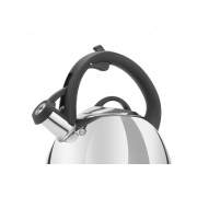 Чайник зі свистком 2.5 л Trio Ringel RG-1005 - Фото №5
