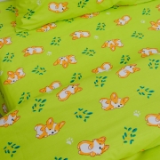 Підліткова постільна білизна 20122 ранфорс Вілюта зелений - Фото №5