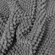 Килимок для ванної кімнати Ананас DarianA теплий сірий - Фото №5