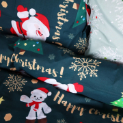 Постельное белье 17-0677 Merry Moments ranforce-elite MirSon - Фото №4