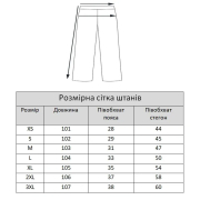 Штани жіночі базові утеплені Поділля Lesia графіт - Фото №5