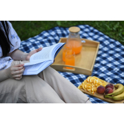 Плед Picnic Ardesto синя клітина - Фото №8