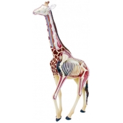 Об'ємна модель 4D Master Жираф FM-622011 - Фото №4