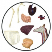 Об'ємна модель 4D Master Жираф FM-622011 - Фото №3