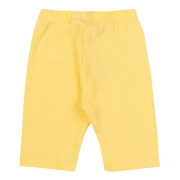 Шорты ШР833 трикотаж-рубчик Бемби C00-лимонный - Фото №3