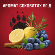 Аерозольний дезодорант Bearglove Old Spice 150 мл - Фото №7