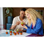 Конструктор Маленькі квіти Icons Botanicals Lego 10329 - Фото №8